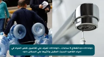 <p><strong>انقطاع 8 ساعات..</strong> تعرف على تفاصيل نقص المياه في أحياء القاهرة السبت المقبل وتأثيرها على السكان.</p>